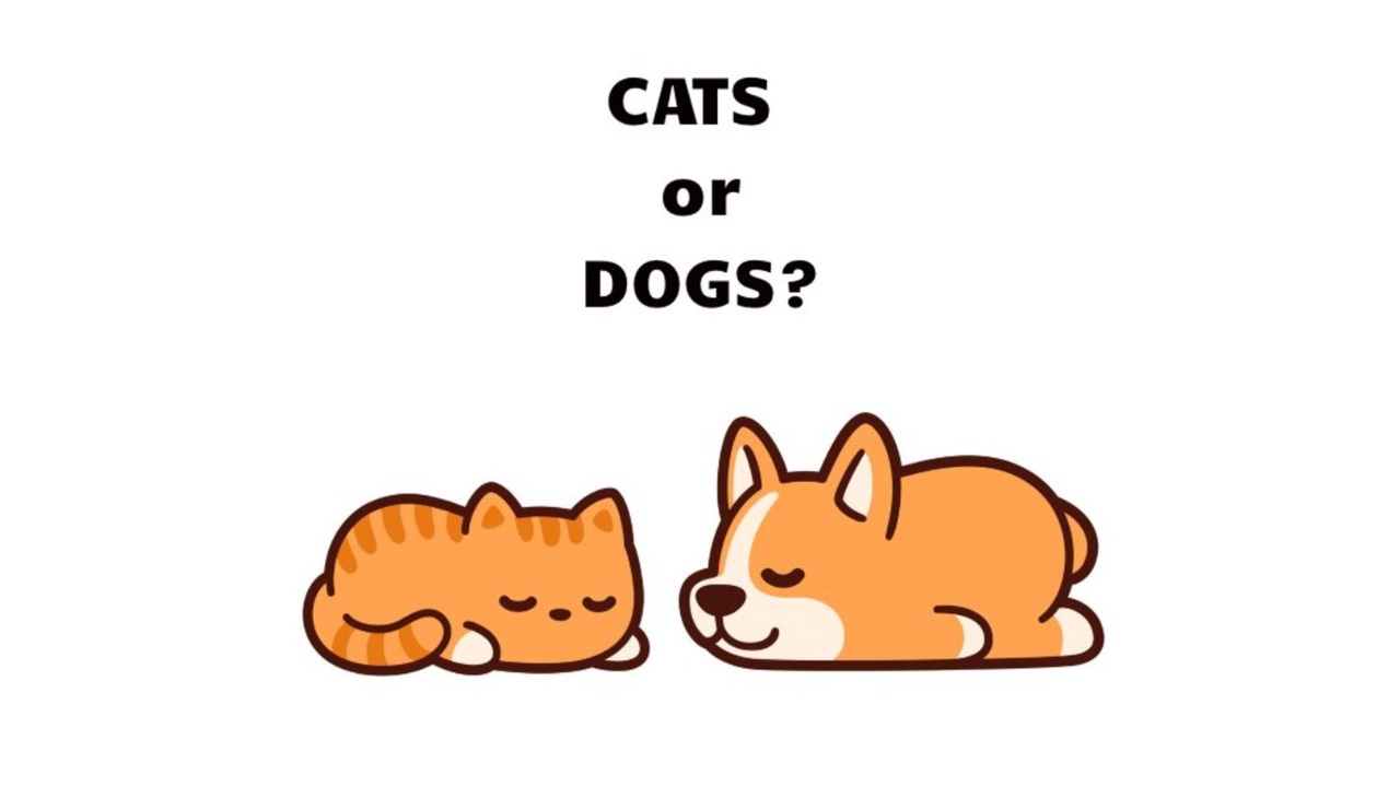 Best This Or That Questions For Kids