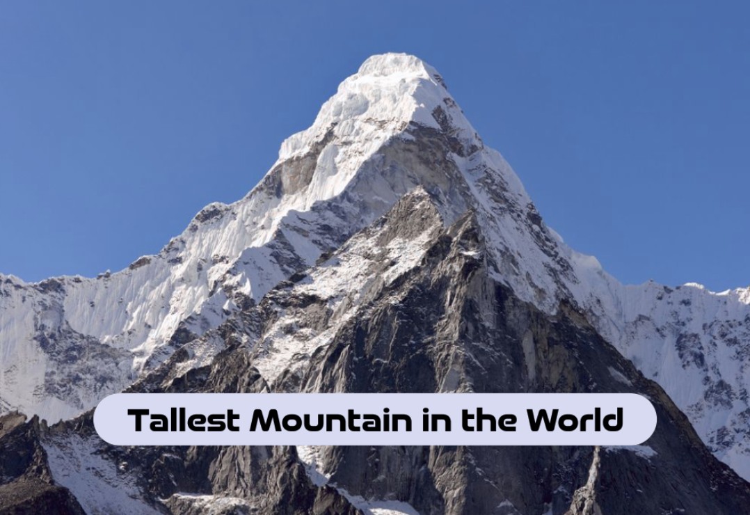 What is the Tallest Mountain in the World
